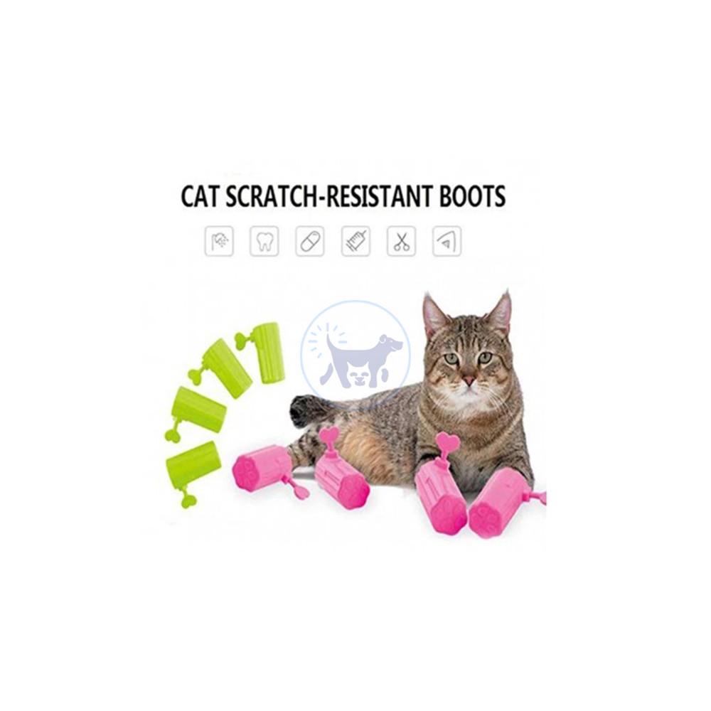 أحذية القطط المقاومة للخدش 4 ×1